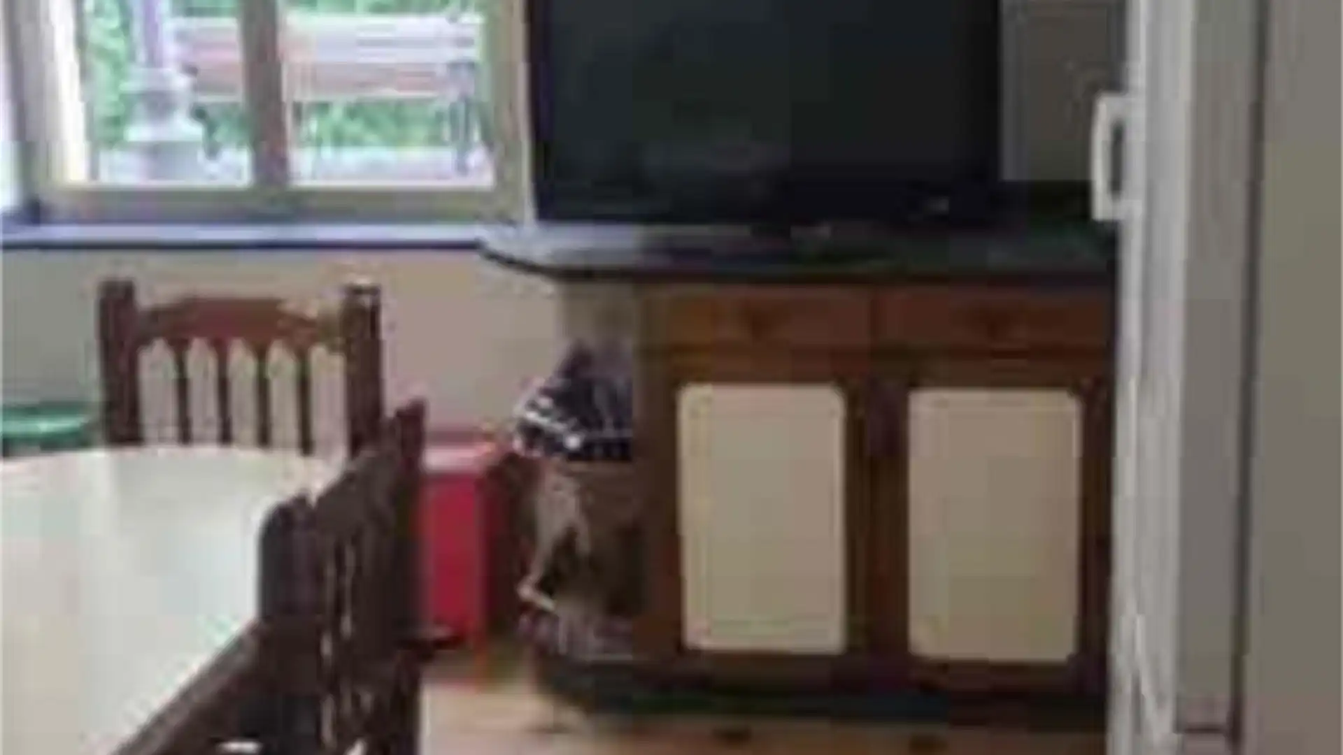 Chalet en Centro - Foto 3