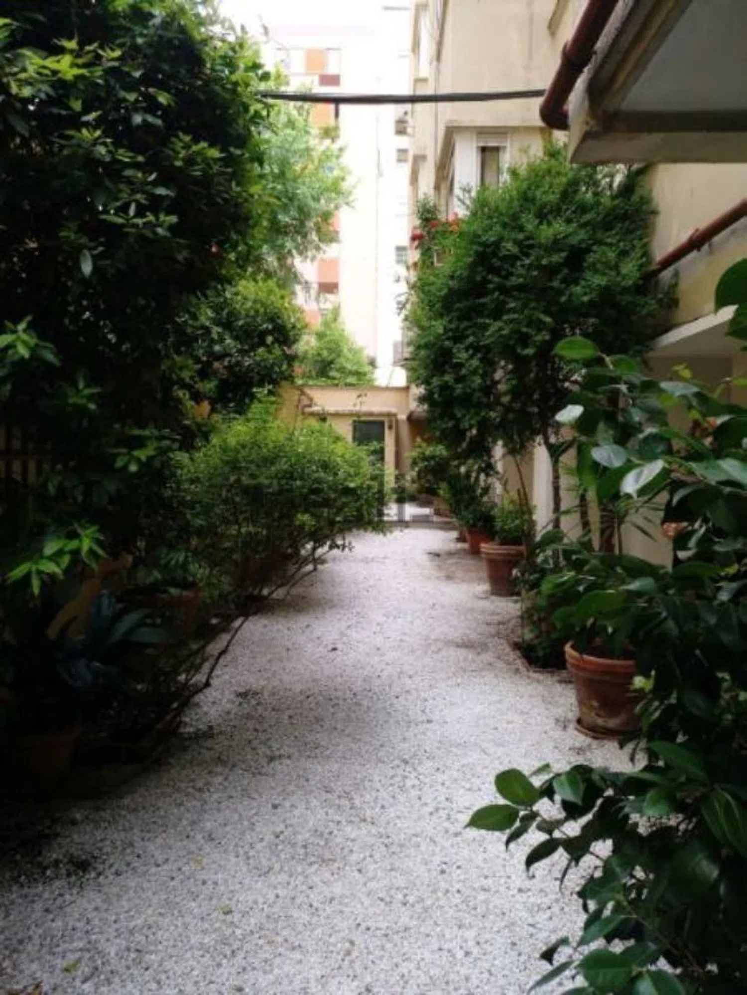 Piso en calle de Maldonado, 63 - Foto 25
