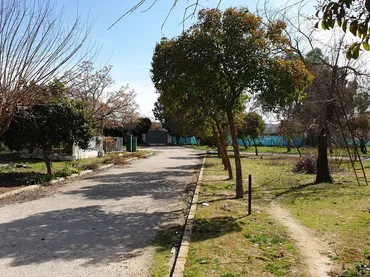 Finca rústica en  Urbanización las Encinas 12A - Foto 5