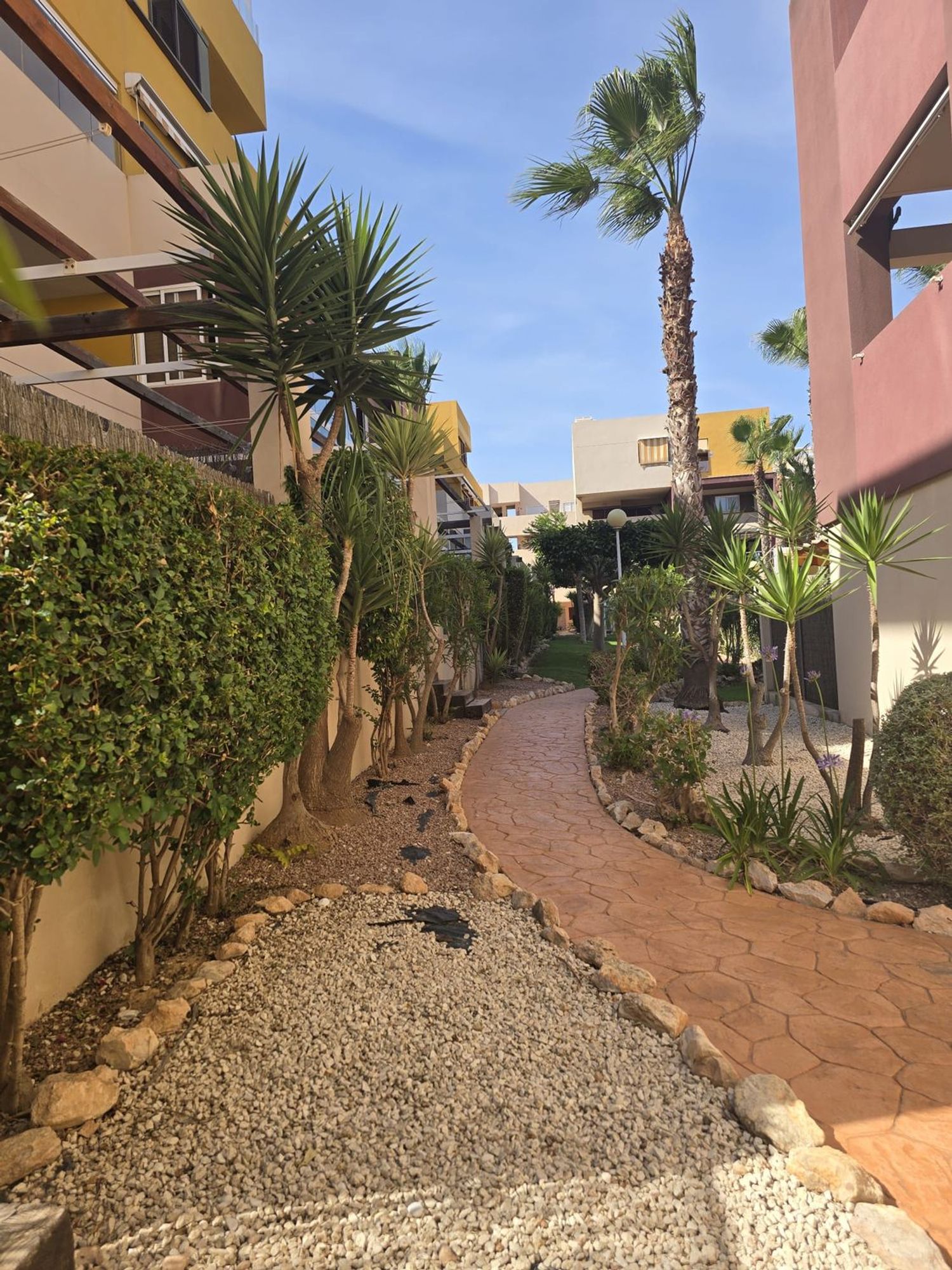 Piso en Urb.el bosque, 3, Playa Flamenca - Foto 21