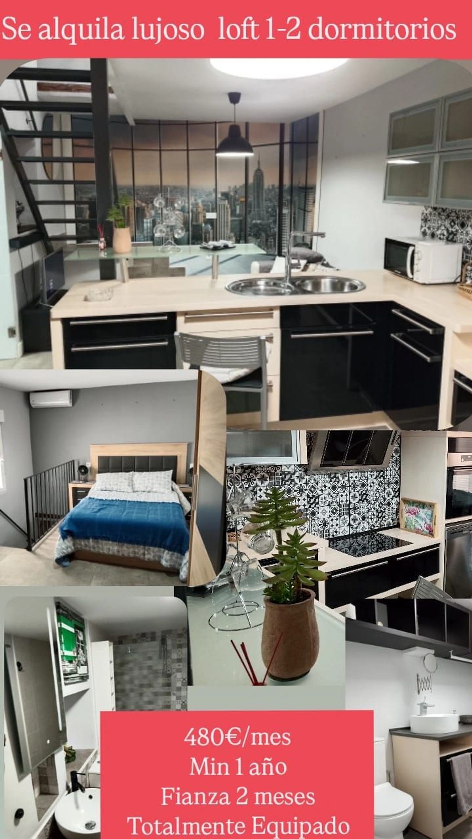 Estudio en Calle Pérez Galdós, 42 - Foto 9