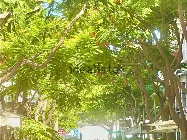 Ático en calle Bethencourt Alfonso, 23 - Foto 17