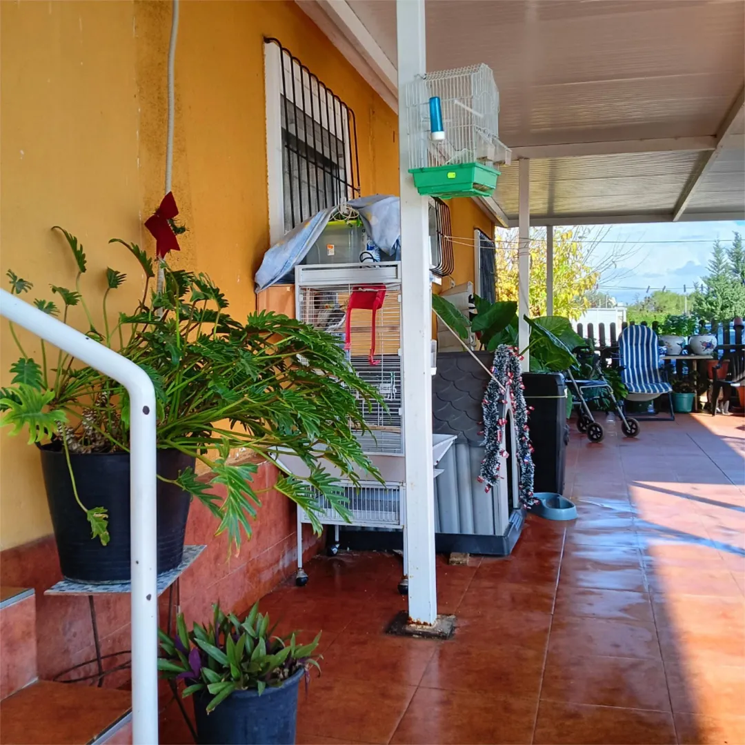 Finca rústica en  Calle Carmen 12 - Foto 25