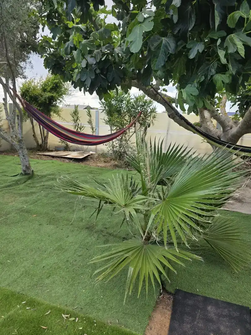 Finca rústica en  Pago la Pago Indiana 70 - Foto 12
