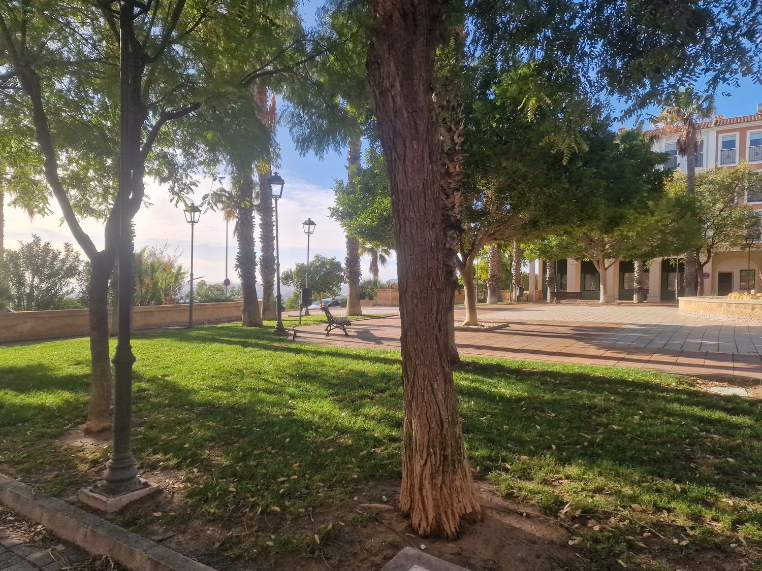 Estudio en calle de la Nit, 1 - Foto 30