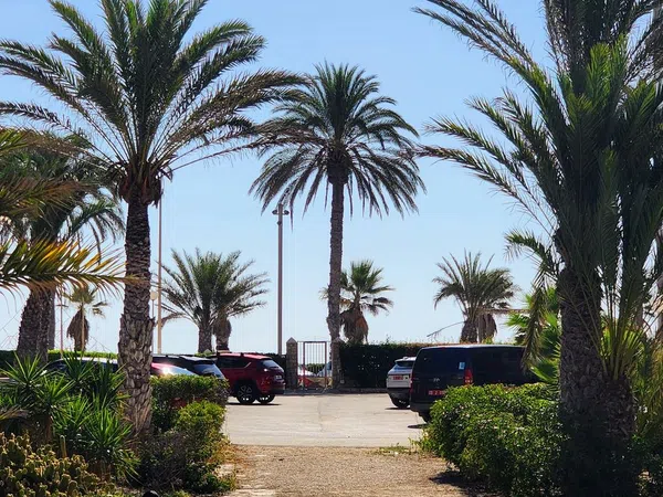 Piso en Avenida de la Costa Blanca, 146, Playa de San Juan - Foto 3