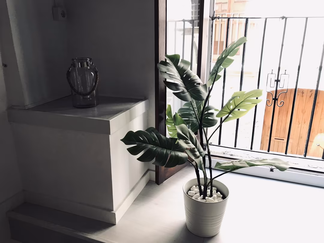 Estudio en  Carrer de Sant Alonso 18 - Foto 8