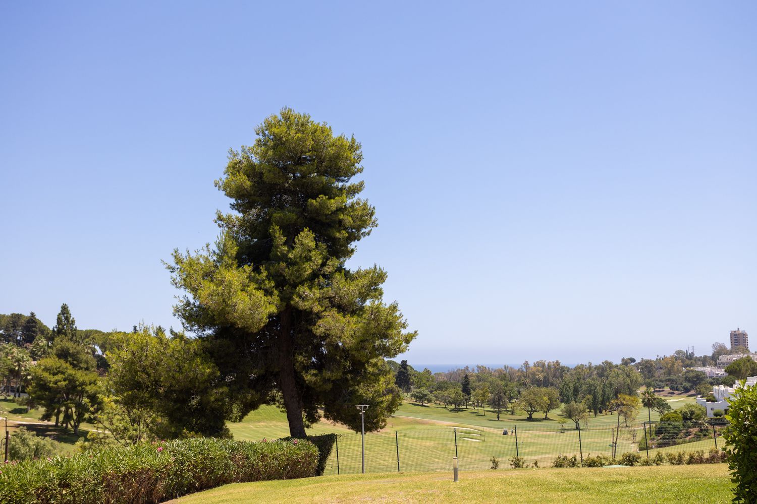 Piso en Avenida Valle del Golf, 132, Aloha - Foto 12