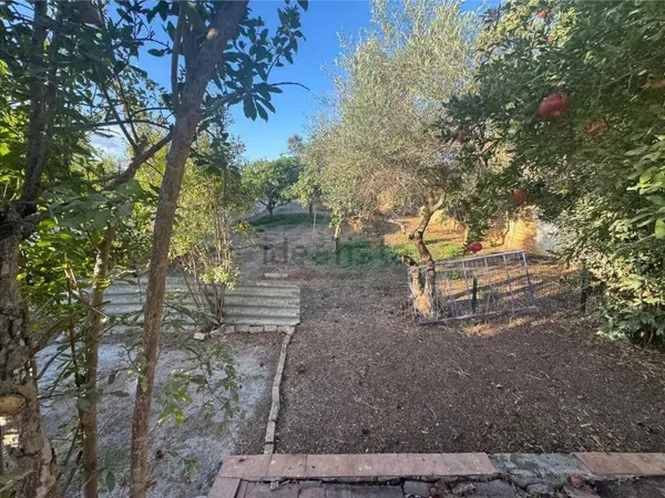 Casa independiente en Urbanizacion Montelirio f, 6 - Foto 19