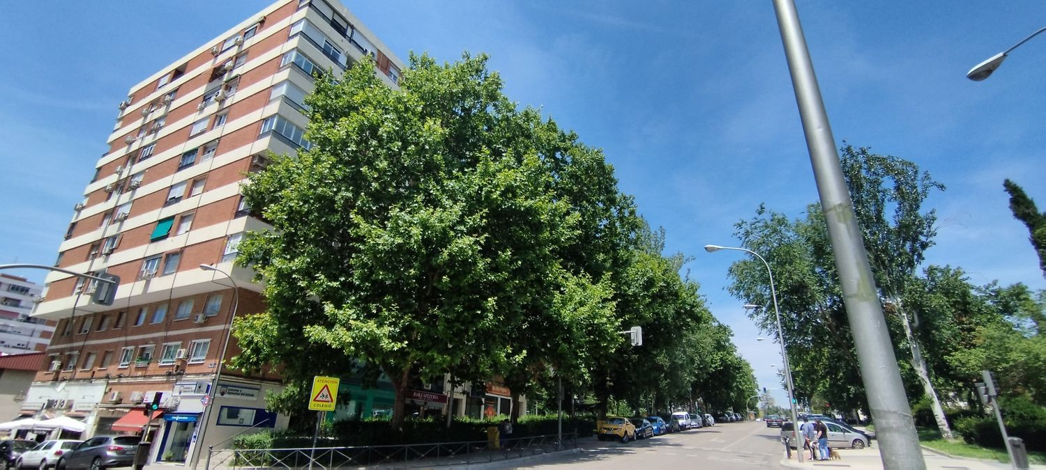 Piso en Barrio Peñagrande - Foto 2