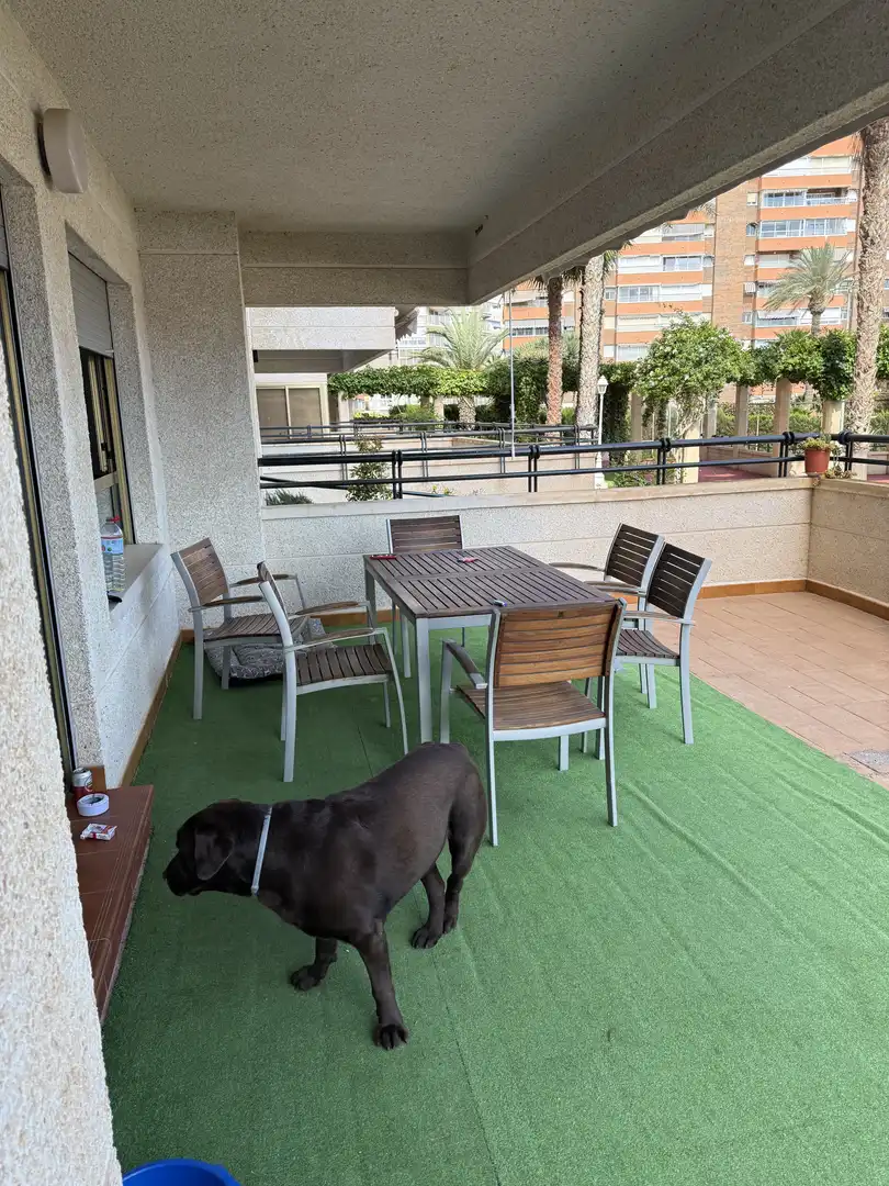 Piso en  Carrer Sant Bartomeu 8 - Foto 12