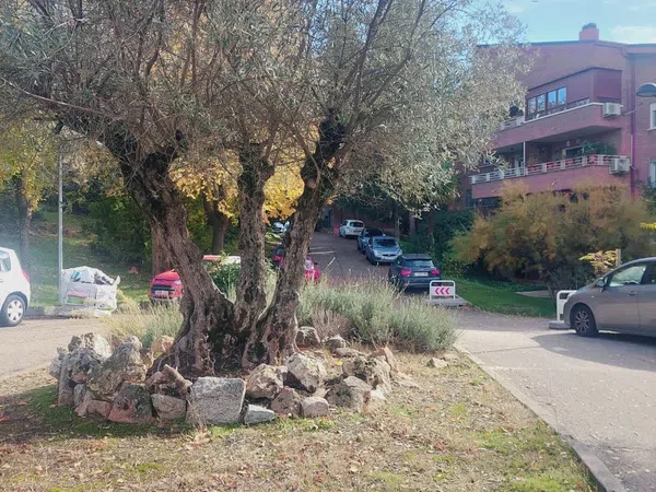 Piso en paseo de Somosierra, 7