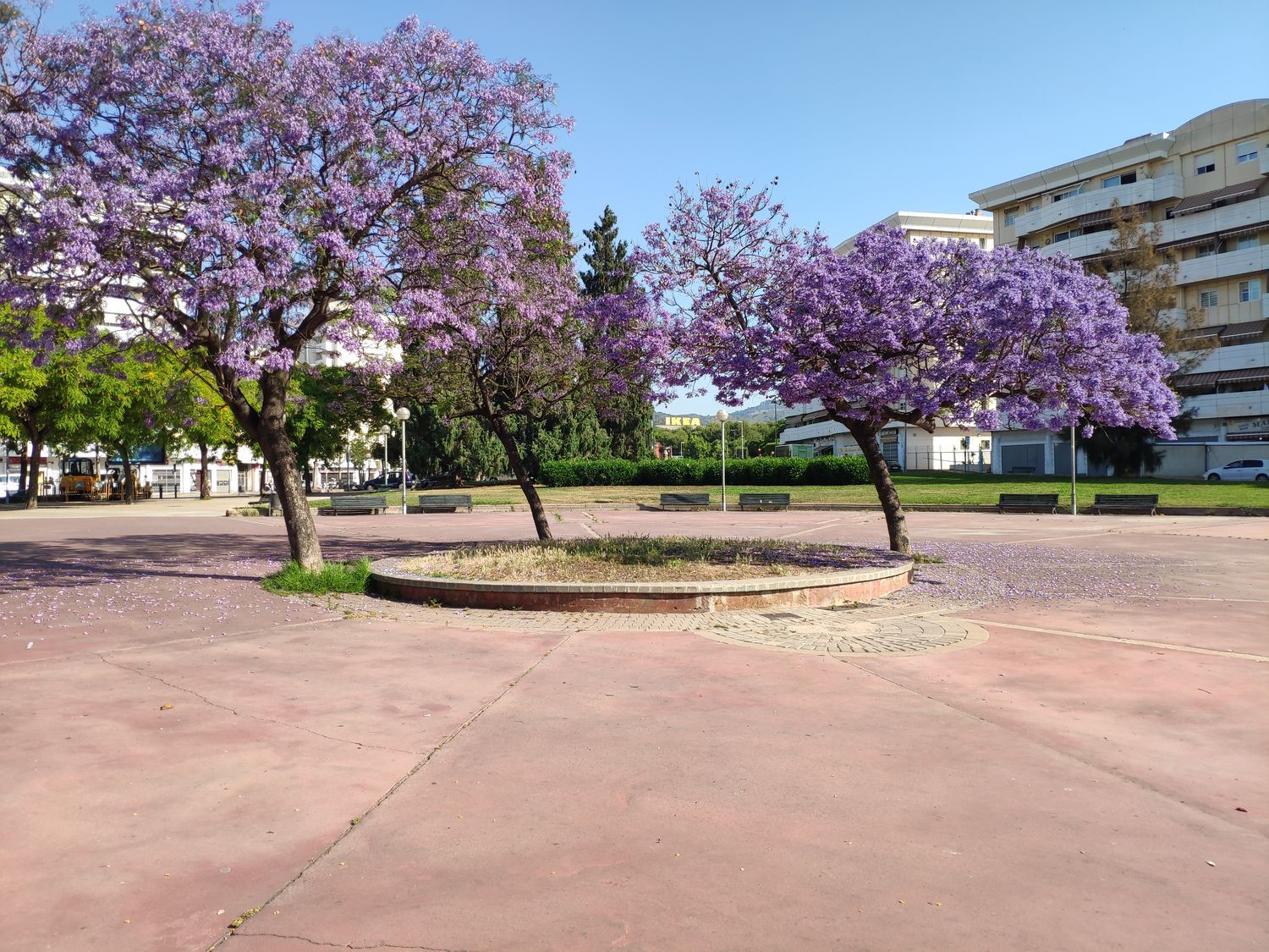 Piso en Urb. montigalá Barrio Puigfred - Foto 38