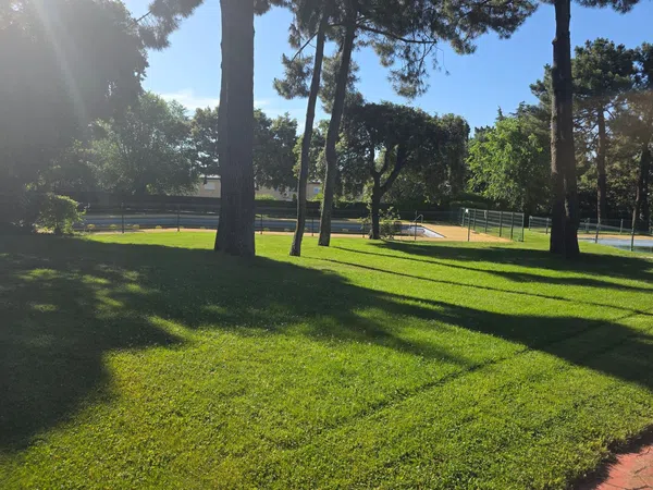 Dúplex en Camino de Manzanares, 55 - Foto 2