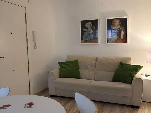 Estudio en Calle Misericordia, 7, Jardín Botánico - Foto 6
