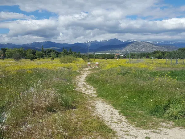Piso en calle Valladolid, 1 n - Foto 8