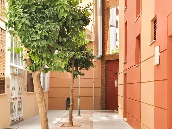 Piso en Calle San Bartolomé, 15, El Molinillo - Capuchinos - Foto 25