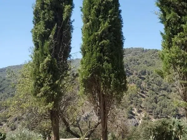 Casa rural en Carretera de Granada, 1 - Foto 11