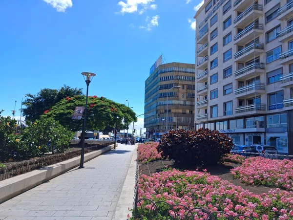 Piso en Avenida Rafael Cabrera, 15, Triana - Foto 21