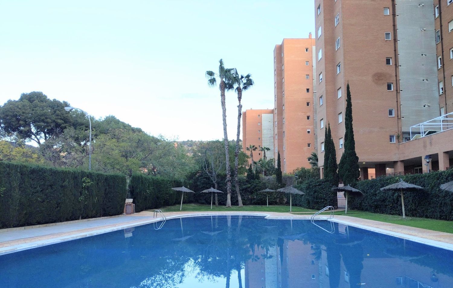 Piso en avenida Pintor Xavier Soler, 13 - Foto 4