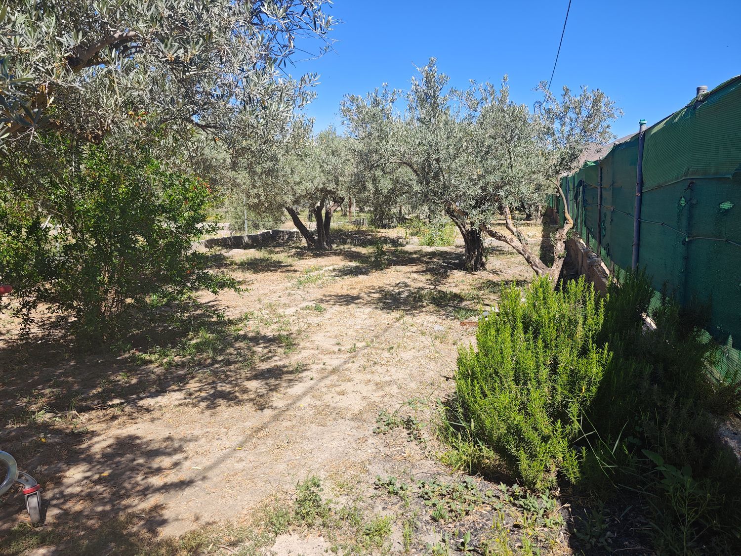 Cortijo en Cortijo en Santa cruz de Marchena s/n - Foto 4