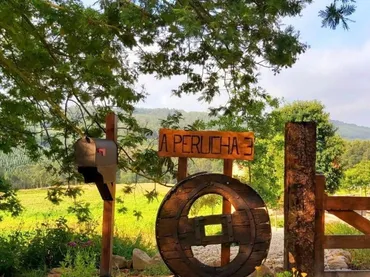 Finca rústica en  DP-1913 2 - Foto 15
