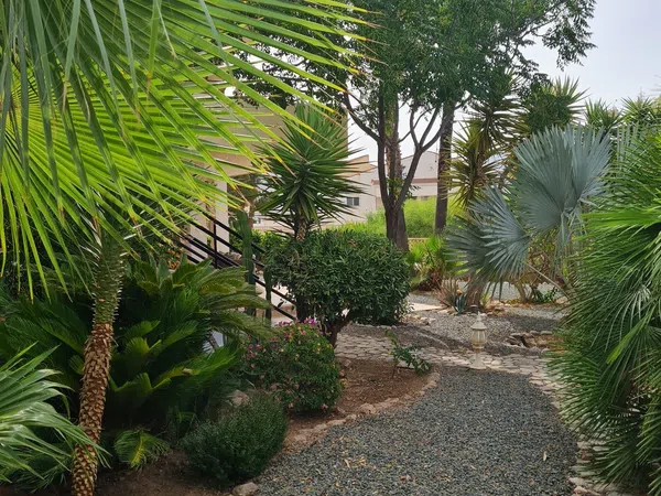 Casa o chalet independiente en Avenida Oeste, 28, La Azohía - Foto 11