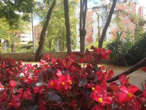 Piso en paseo de la Alameda de Osuna, 10 - Foto 17