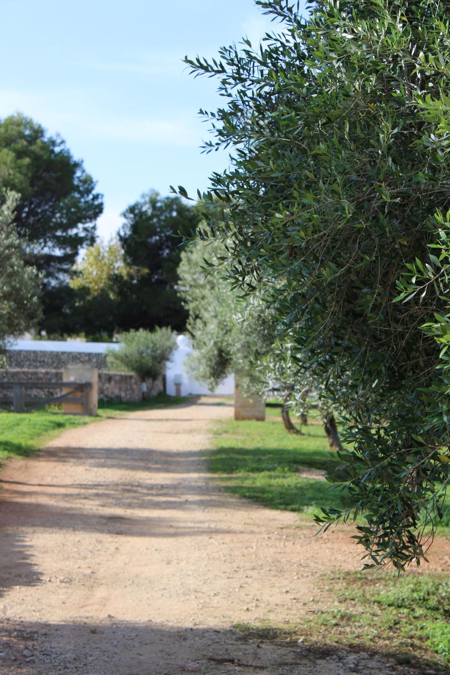 Casa rural en Calle de sa Pleta, 1, Ciutadella, Ciutadella - Foto 16