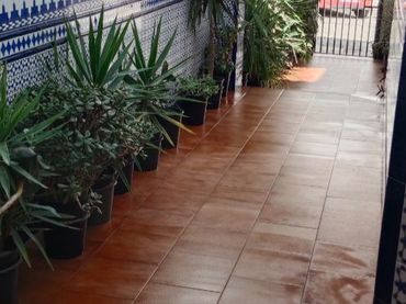 Dúplex en  Calle Adelardo Covarsí 18 - Foto 3