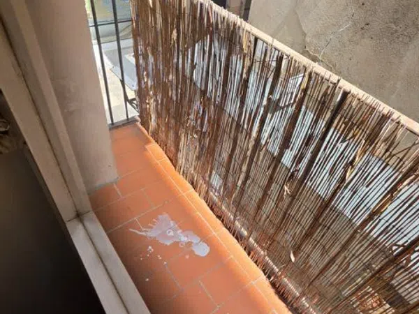 Piso en Sant Pere Mes Alt, Sant Pere - Santa Caterina i la Ribera - Foto 20