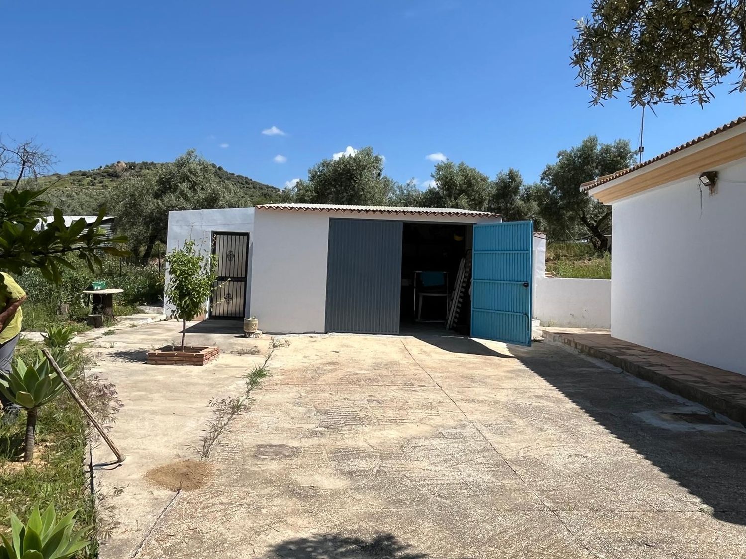 Finca rústica en Via Diseminado El Lentiscar s/n - Foto 13