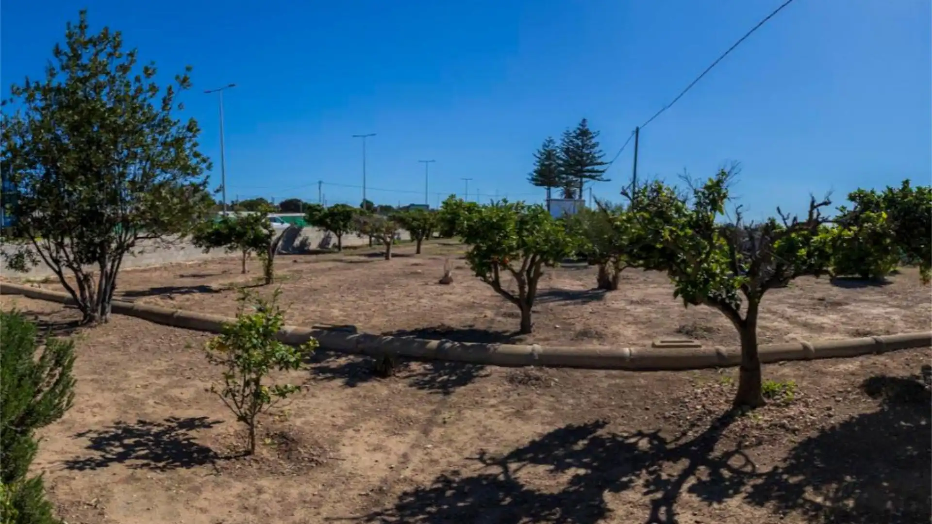 Finca rústica en  CV-865 45 - Foto 9