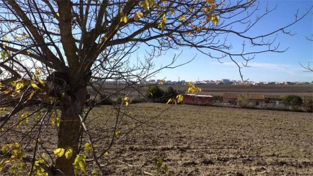 Chalet en Mesas de santa rosa - Foto 5