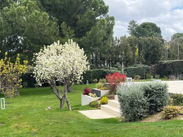 Casa independiente en Urb. bonanza Bonanza - Foto 9