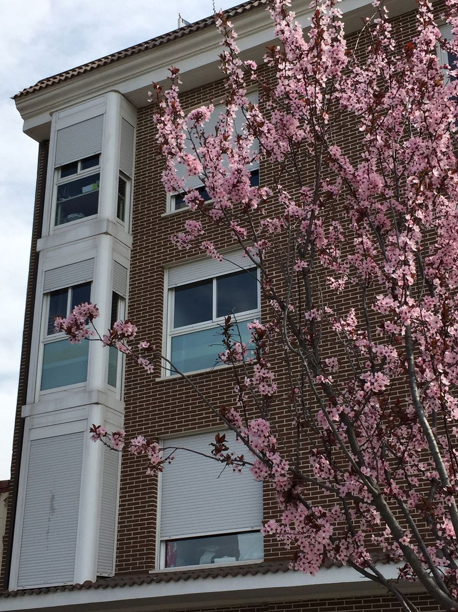 Piso en calle Algete, 13 - Foto 19