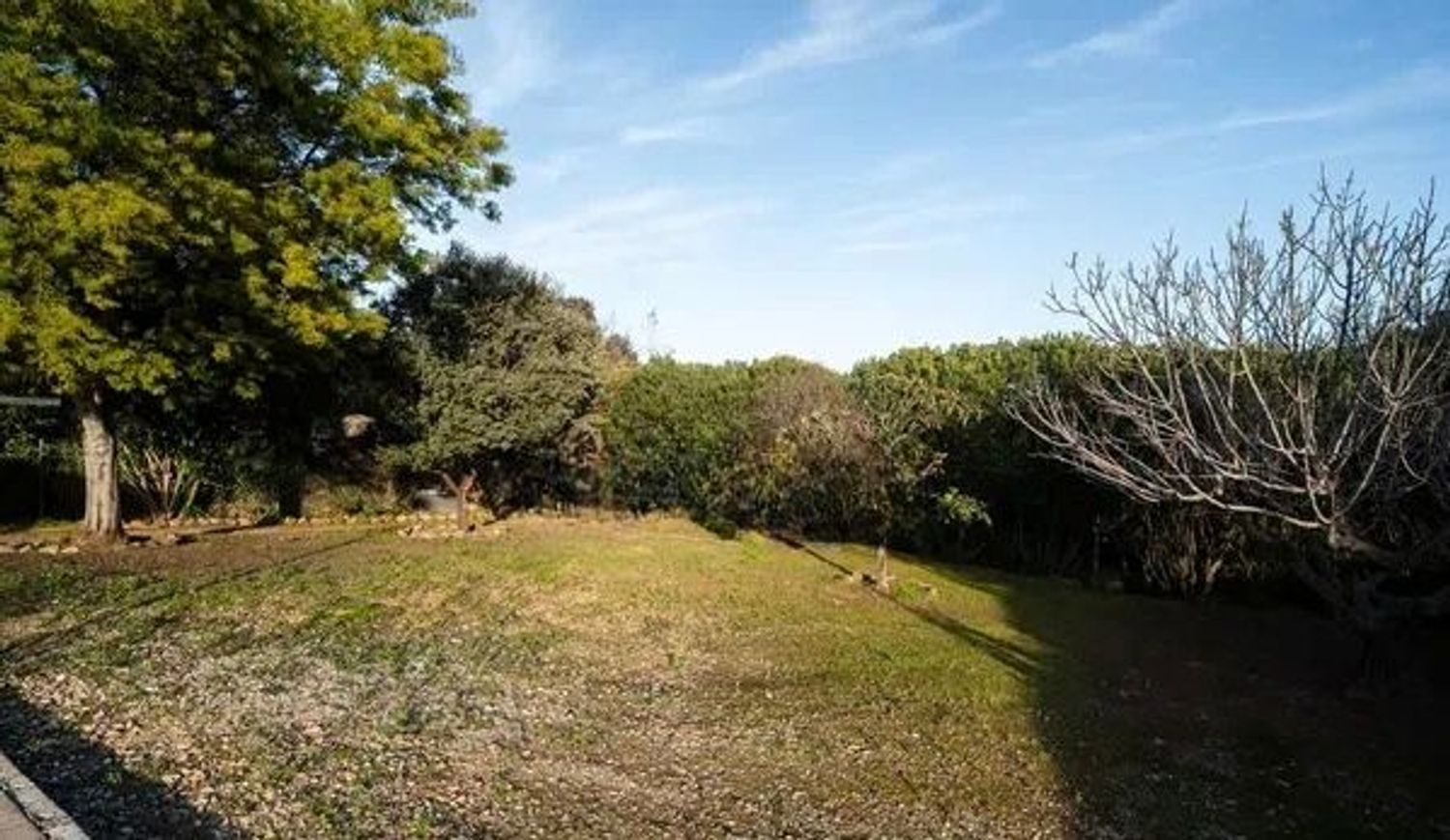 Casa o chalet independiente en Calle Olivar Viejo, 20, Brillante - Foto 6