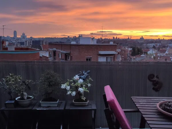 Ático en paseo de los Jesuitas, 46