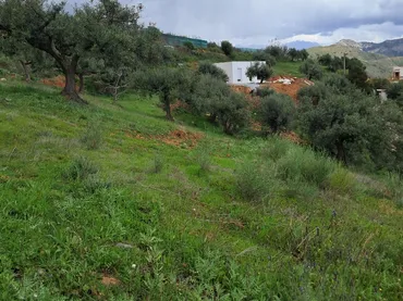 Finca rústica en  Diseminado el Cerval Pol 15 34B - Foto 13