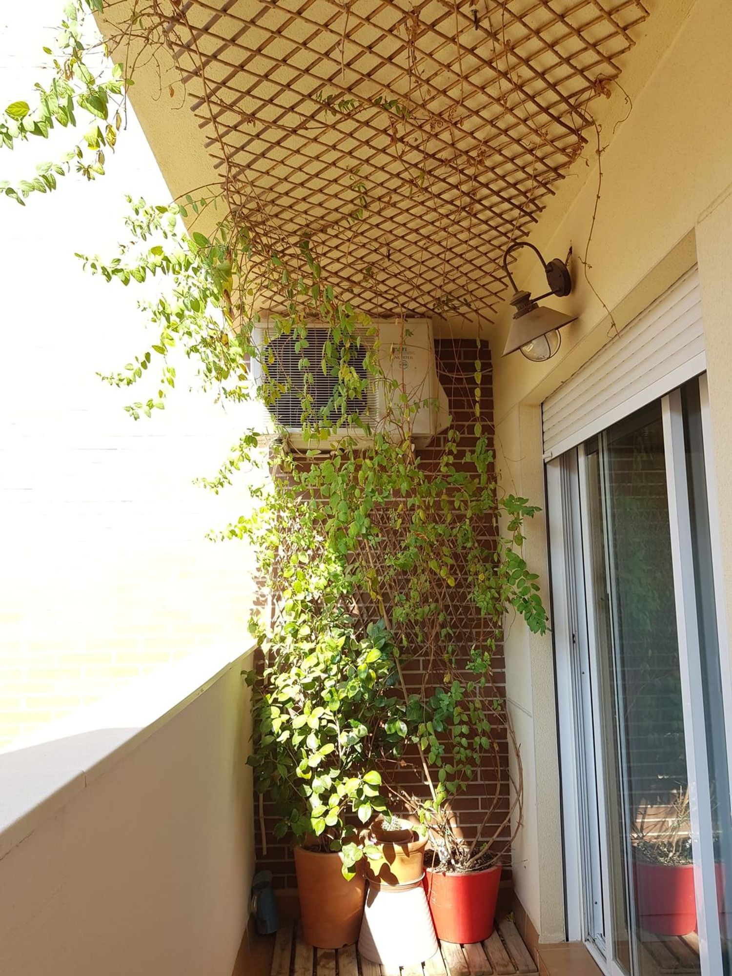 Piso en Calle Diego Almagro, 6, Residencial Triana - Barrio Alto, Residencial Triana - Barrio Alto - Foto 6
