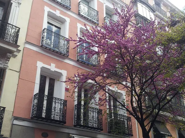 Piso en Calle del Almirante, 7, Chueca-Justicia - Foto 16