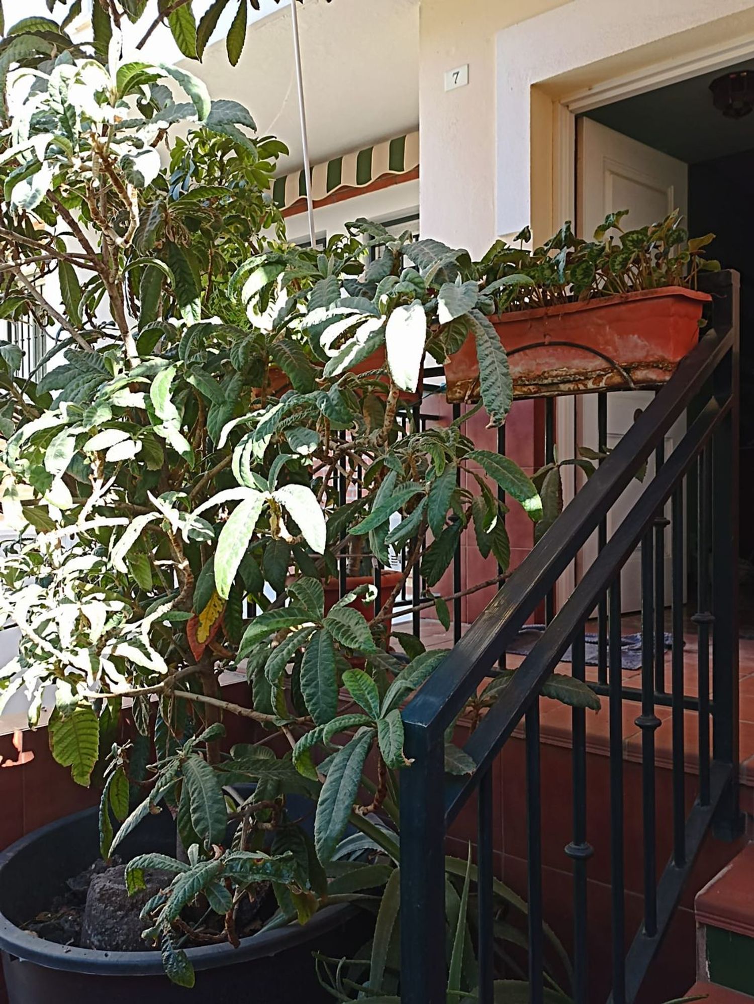 Chalet adosado en calle Perete, 14