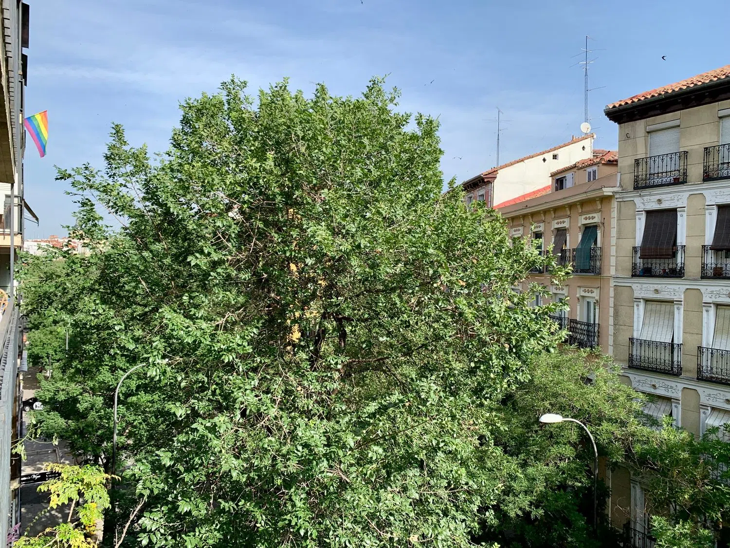 Piso en calle de Argumosa, 24 - Foto 36