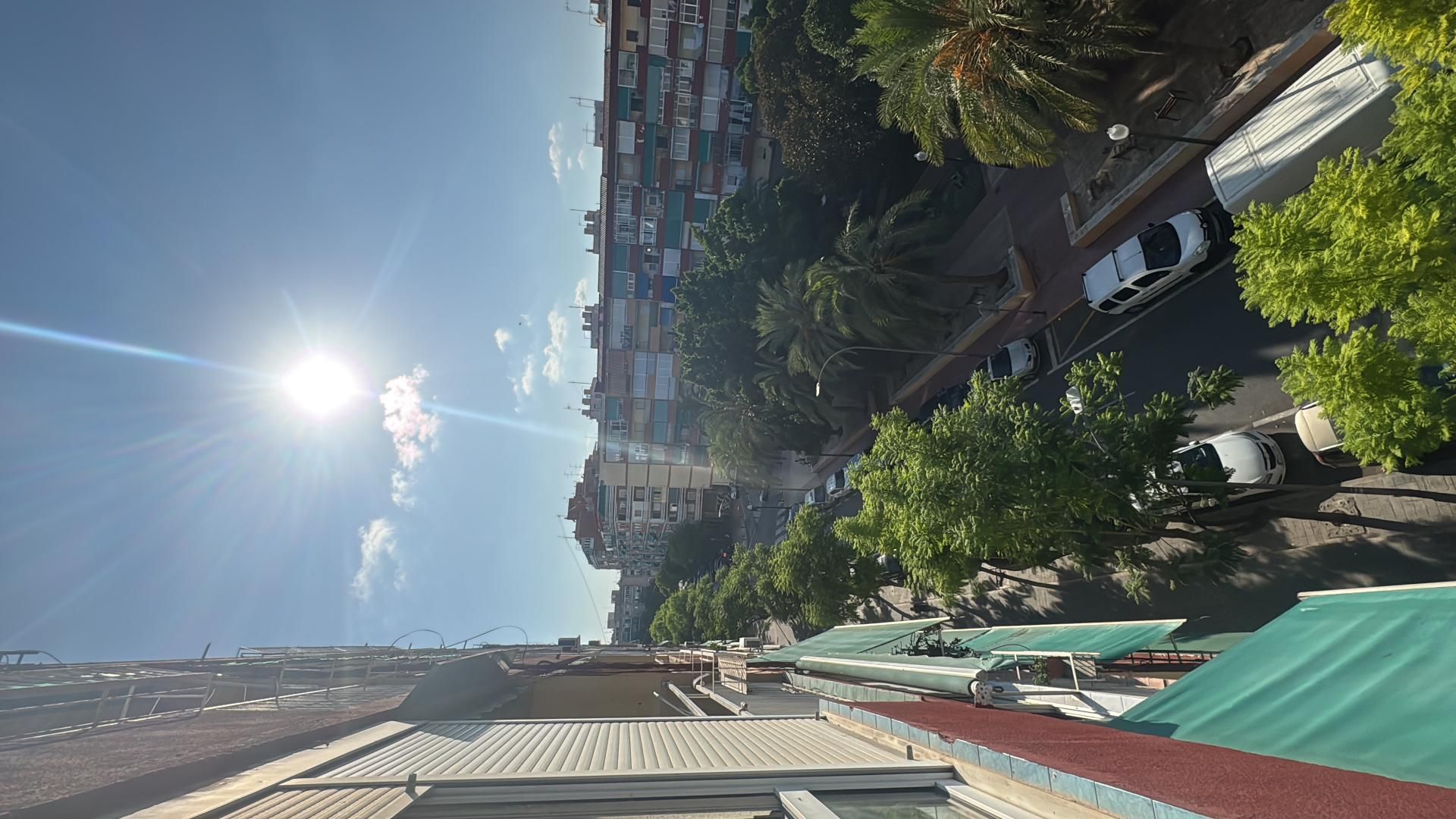 Piso en  Calle Fiscal Miguel Gutiérrez Carbonell 5 - Foto 4