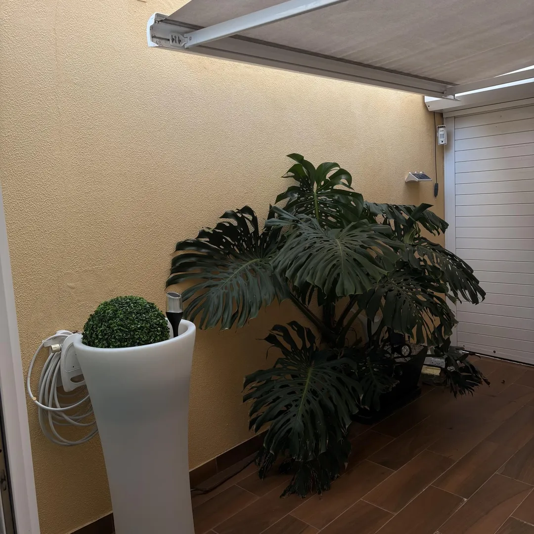 Dúplex en  Calle Alfonso de Armas Ayala 23 - Foto 21