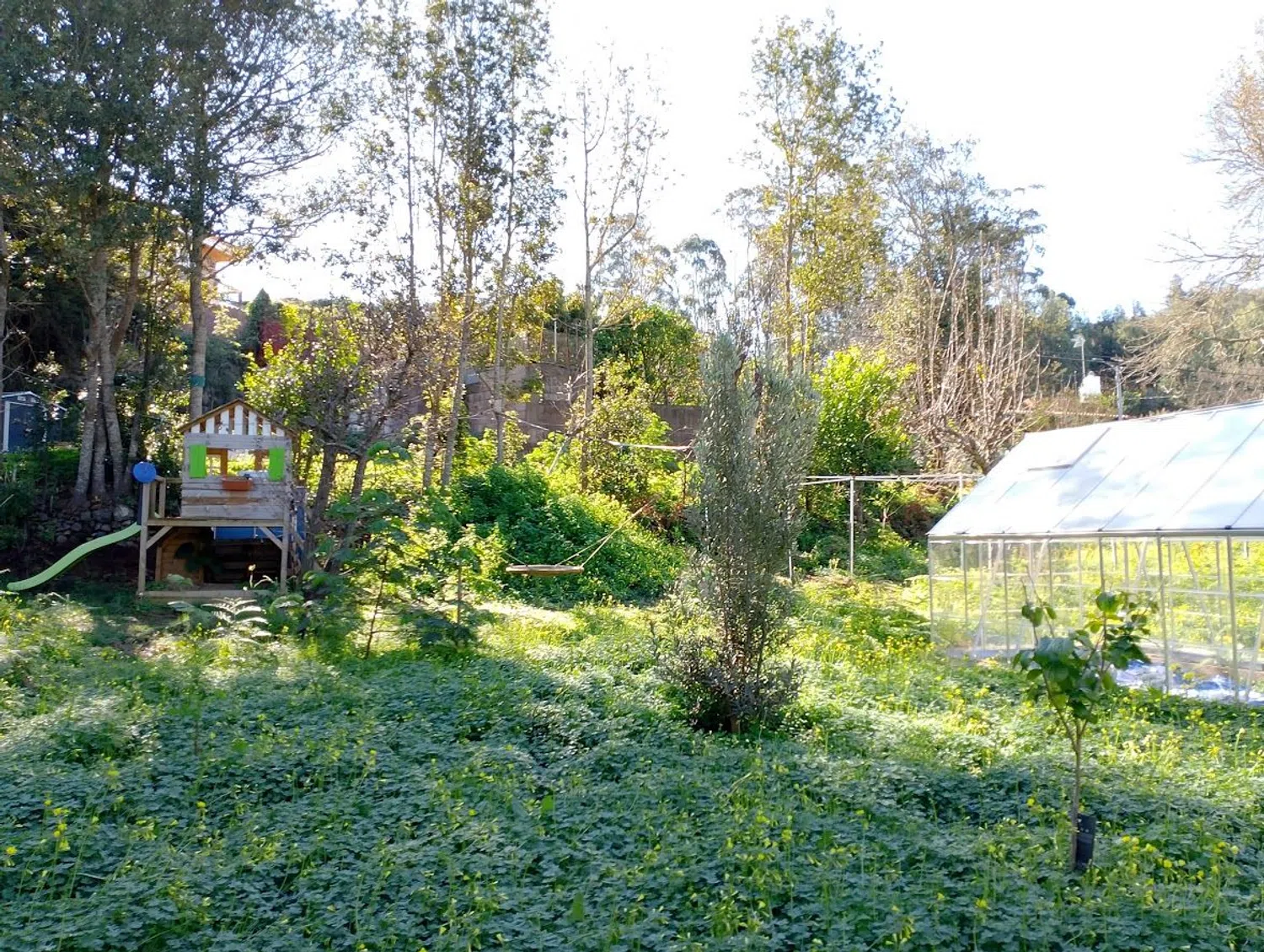 Finca rústica en camino el Laurel, 5555 - Foto 4