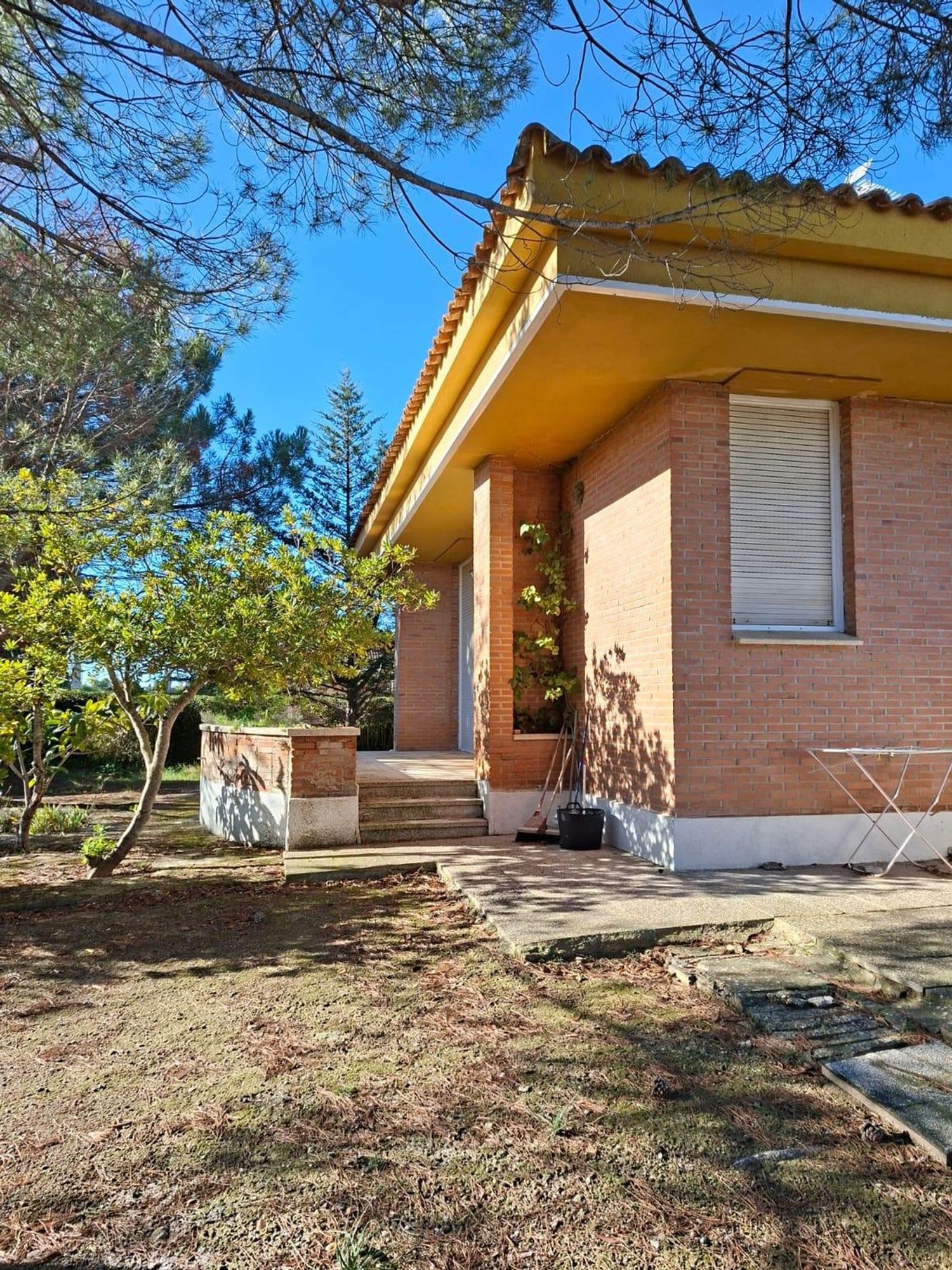 Casa o chalet independiente en Calle Ejea de los Caballeros s/n - Foto 4