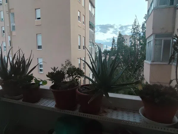 Piso en Arcos, Arcos - Foto 14