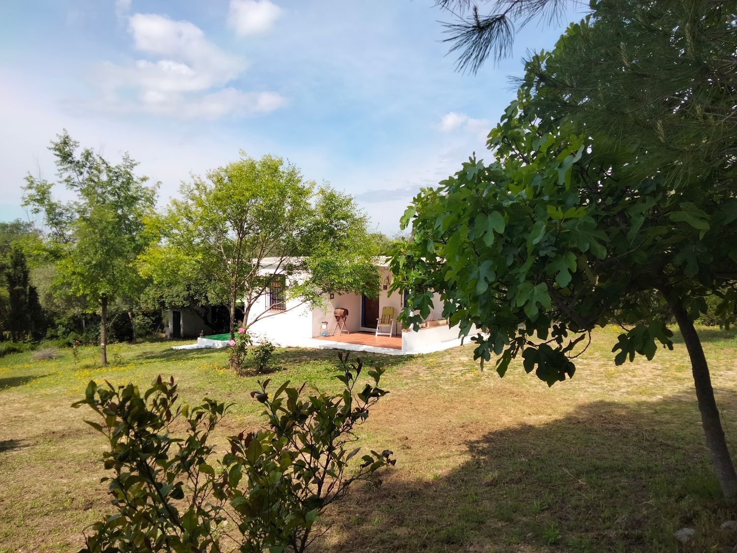 Casa independiente en avenida Rosal, 20 - Foto 5