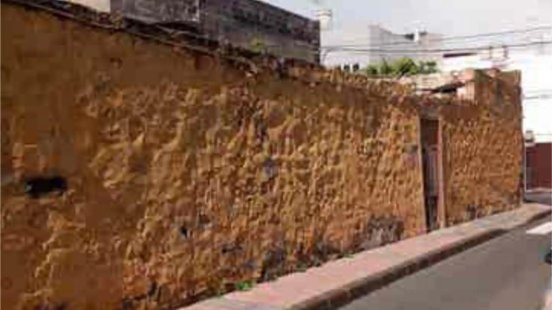 Chalet en el ejido - Foto 3